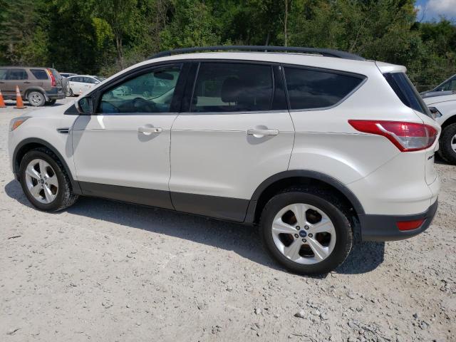 Photo 1 VIN: 1FMCU9GX7EUB94966 - FORD ESCAPE SE 