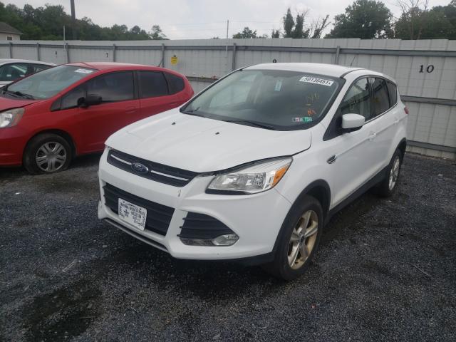 Photo 1 VIN: 1FMCU9GX7EUC80827 - FORD ESCAPE SE 