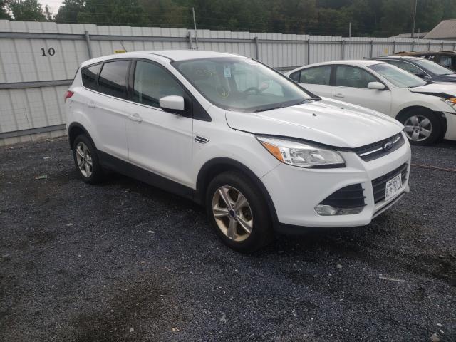 Photo 8 VIN: 1FMCU9GX7EUC80827 - FORD ESCAPE SE 