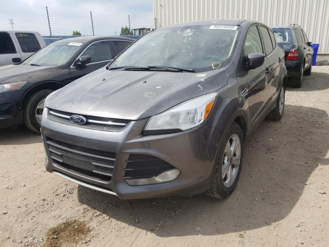 Photo 1 VIN: 1FMCU9GX8EUB49955 - FORD ESCAPE SE 