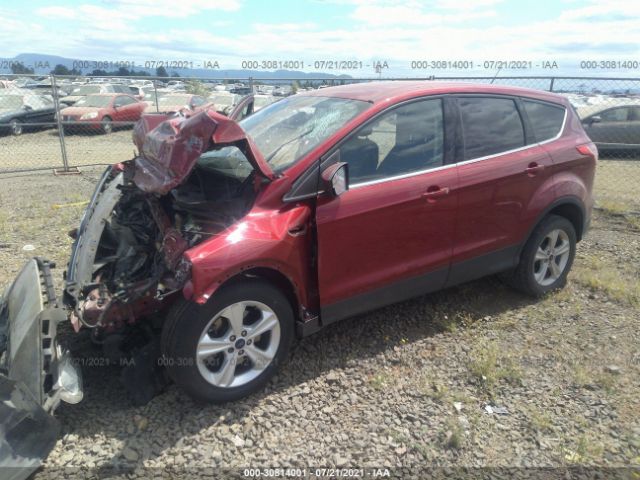 Photo 1 VIN: 1FMCU9GX8EUB64844 - FORD ESCAPE 