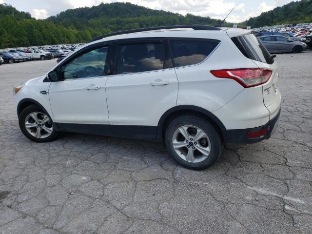 Photo 1 VIN: 1FMCU9GX8EUC43625 - FORD ESCAPE SE 