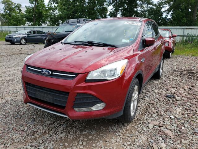 Photo 8 VIN: 1FMCU9GX8EUE07682 - FORD ESCAPE SE 