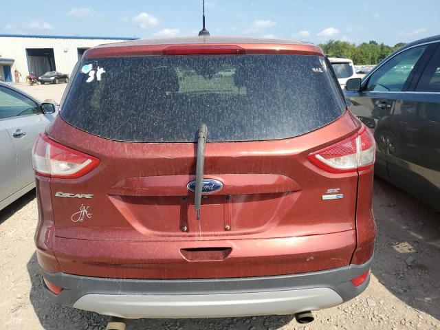 Photo 5 VIN: 1FMCU9GX9EUB75349 - FORD ESCAPE SE 