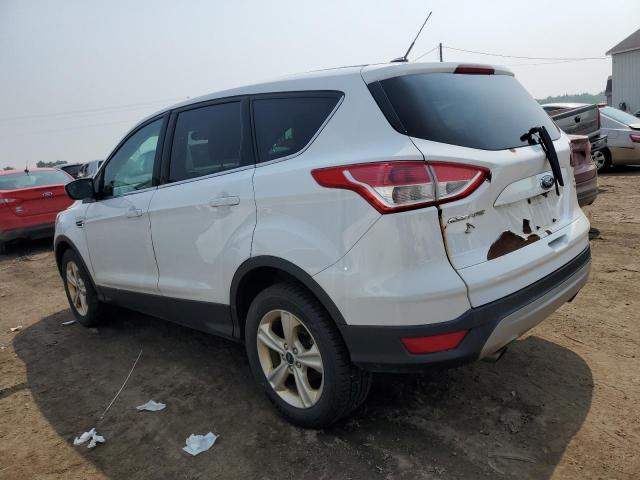 Photo 1 VIN: 1FMCU9GX9EUE28282 - FORD ESCAPE SE 