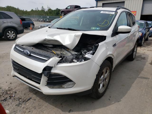 Photo 1 VIN: 1FMCU9GXXDUC30891 - FORD ESCAPE SE 