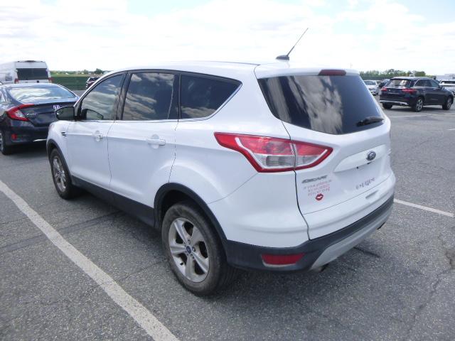 Photo 1 VIN: 1FMCU9GXXEUA44088 - FORD ESCAPE 4X4 4C 