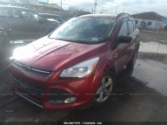 Photo 1 VIN: 1FMCU9GXXEUB25656 - FORD ESCAPE 