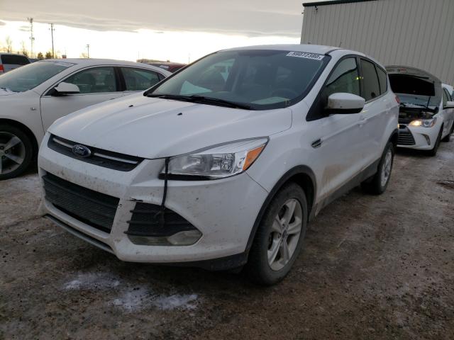 Photo 1 VIN: 1FMCU9GXXEUC54609 - FORD ESCAPE SE 