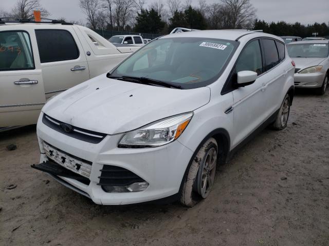 Photo 1 VIN: 1FMCU9GXXEUD58842 - FORD ESCAPE SE 