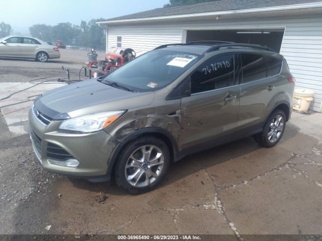 Photo 1 VIN: 1FMCU9H95DUC21466 - FORD ESCAPE 