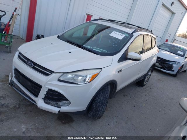 Photo 1 VIN: 1FMCU9H96DUA02211 - FORD ESCAPE 