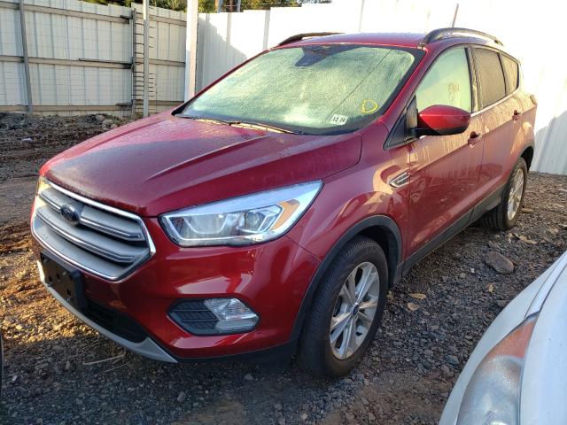 Photo 1 VIN: 1FMCU9HD5KUB73761 - FORD ESCAPE SEL 