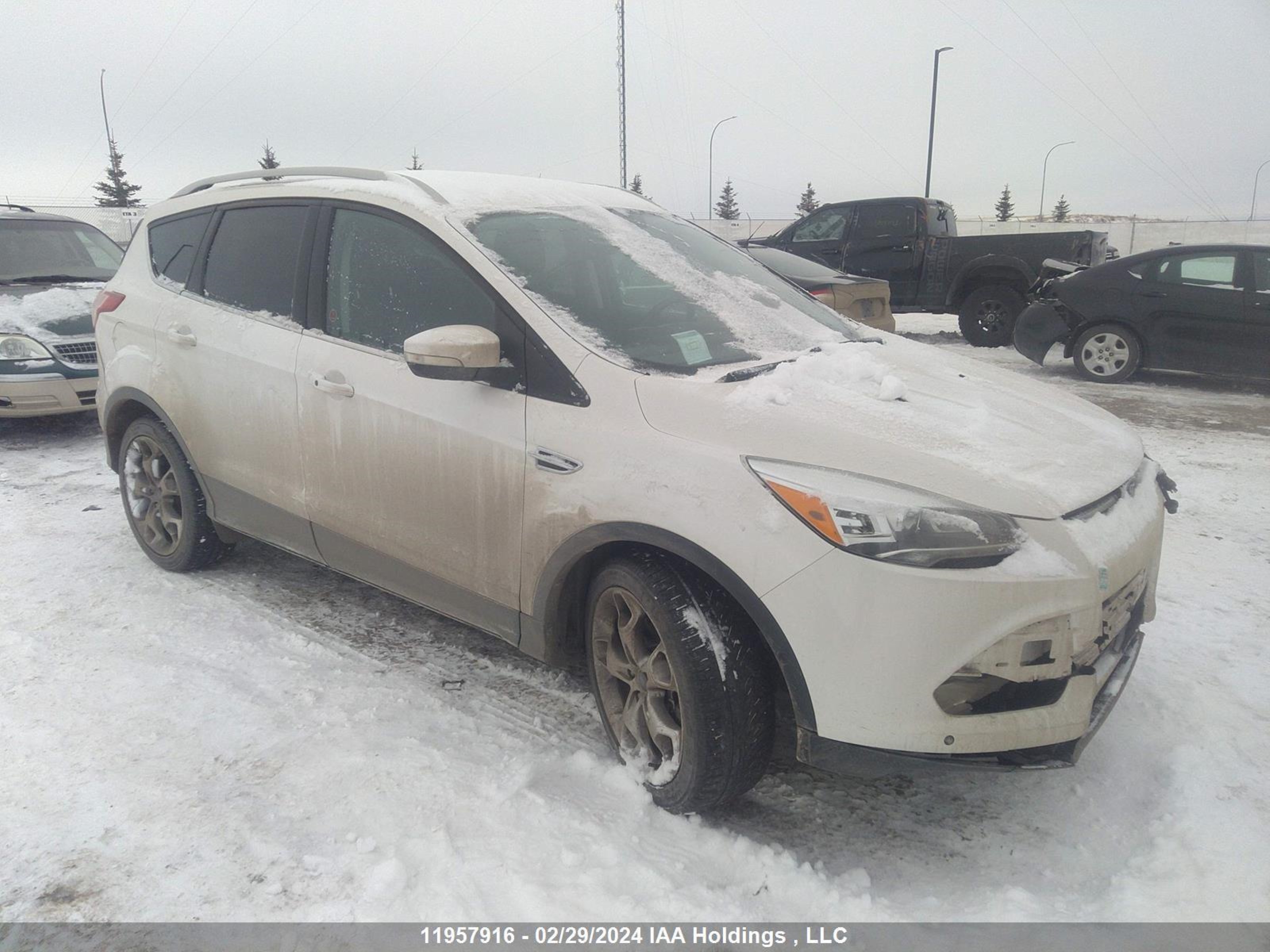 Photo 0 VIN: 1FMCU9J90EUA32817 - FORD ESCAPE 