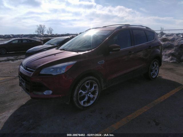 Photo 1 VIN: 1FMCU9J90EUD42532 - FORD ESCAPE 