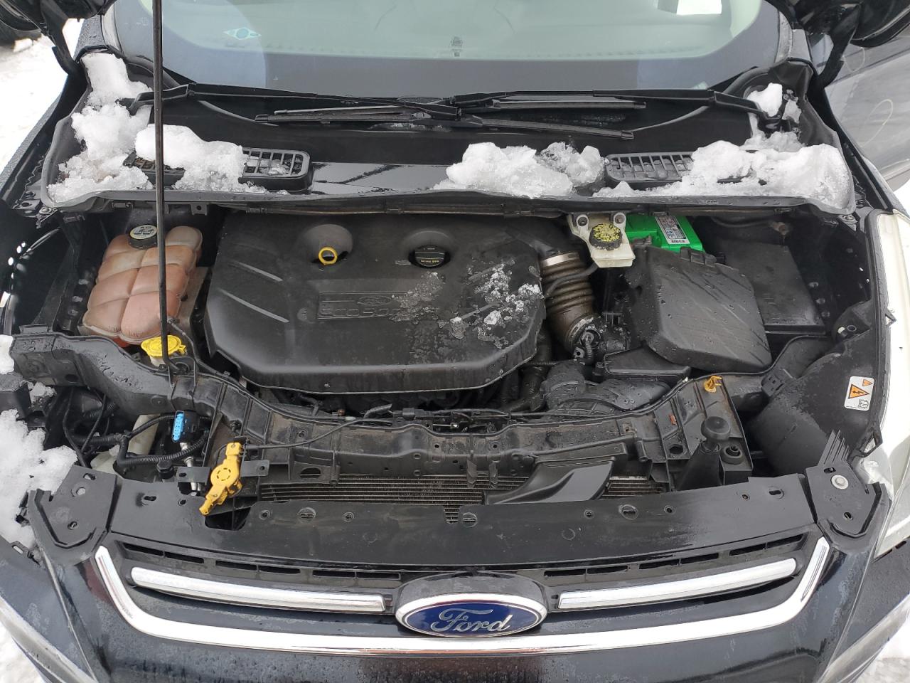 Photo 11 VIN: 1FMCU9J92EUA04419 - FORD ESCAPE 