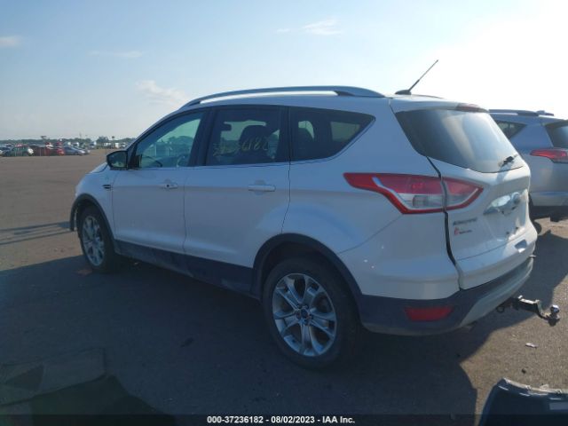 Photo 2 VIN: 1FMCU9J92EUA77273 - FORD ESCAPE 