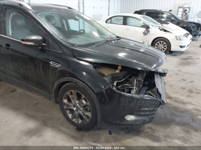 Photo 5 VIN: 1FMCU9J92FUA28883 - FORD ESCAPE 