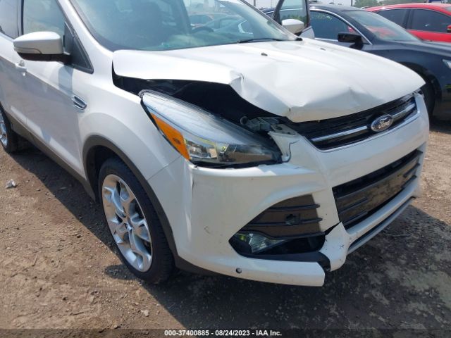 Photo 5 VIN: 1FMCU9J93EUB42860 - FORD ESCAPE 