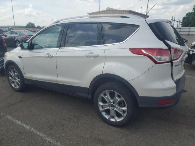 Photo 1 VIN: 1FMCU9J93EUB43538 - FORD ESCAPE 