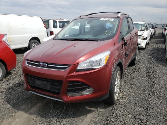 Photo 1 VIN: 1FMCU9J93EUB80962 - FORD ESCAPE TIT 