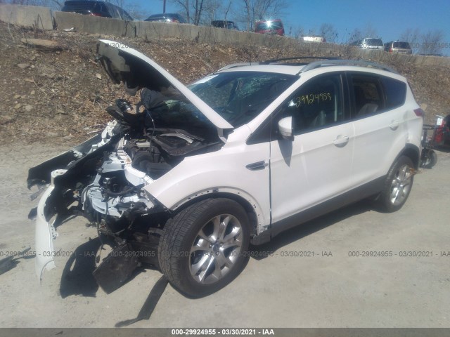 Photo 1 VIN: 1FMCU9J95EUA33848 - FORD ESCAPE 