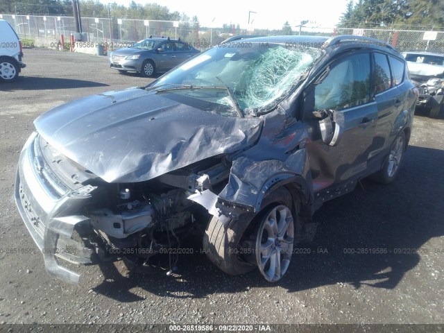 Photo 1 VIN: 1FMCU9J95EUE41542 - FORD ESCAPE 