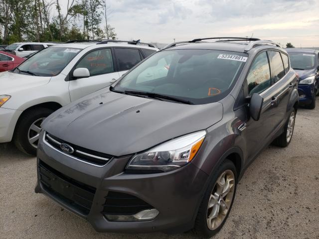 Photo 1 VIN: 1FMCU9J96DUB61434 - FORD ESCAPE 