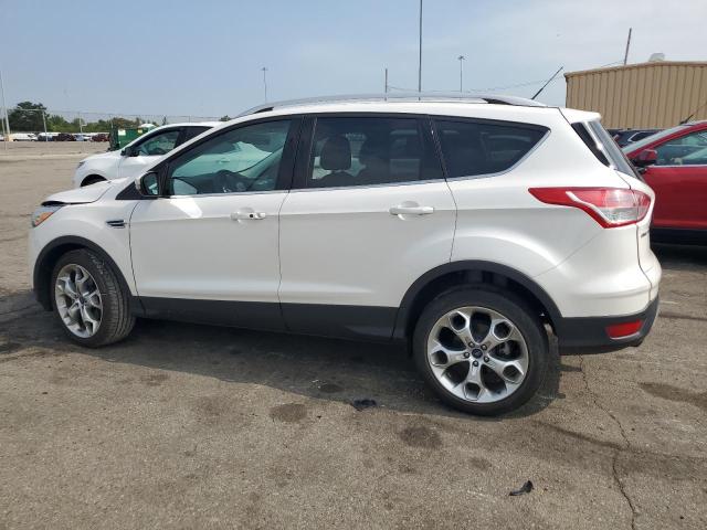 Photo 1 VIN: 1FMCU9J97EUA39019 - FORD ESCAPE 