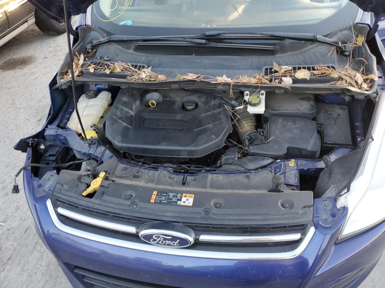 Photo 11 VIN: 1FMCU9J98EUB60979 - FORD ESCAPE 