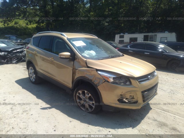 Photo 0 VIN: 1FMCU9J98EUC14006 - FORD ESCAPE 