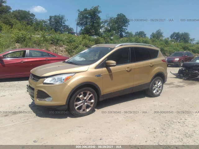 Photo 1 VIN: 1FMCU9J98EUC14006 - FORD ESCAPE 