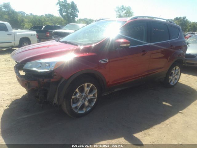 Photo 1 VIN: 1FMCU9J98EUD74113 - FORD ESCAPE 