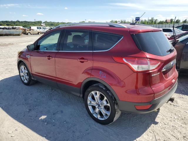 Photo 1 VIN: 1FMCU9J98EUE51210 - FORD ESCAPE 