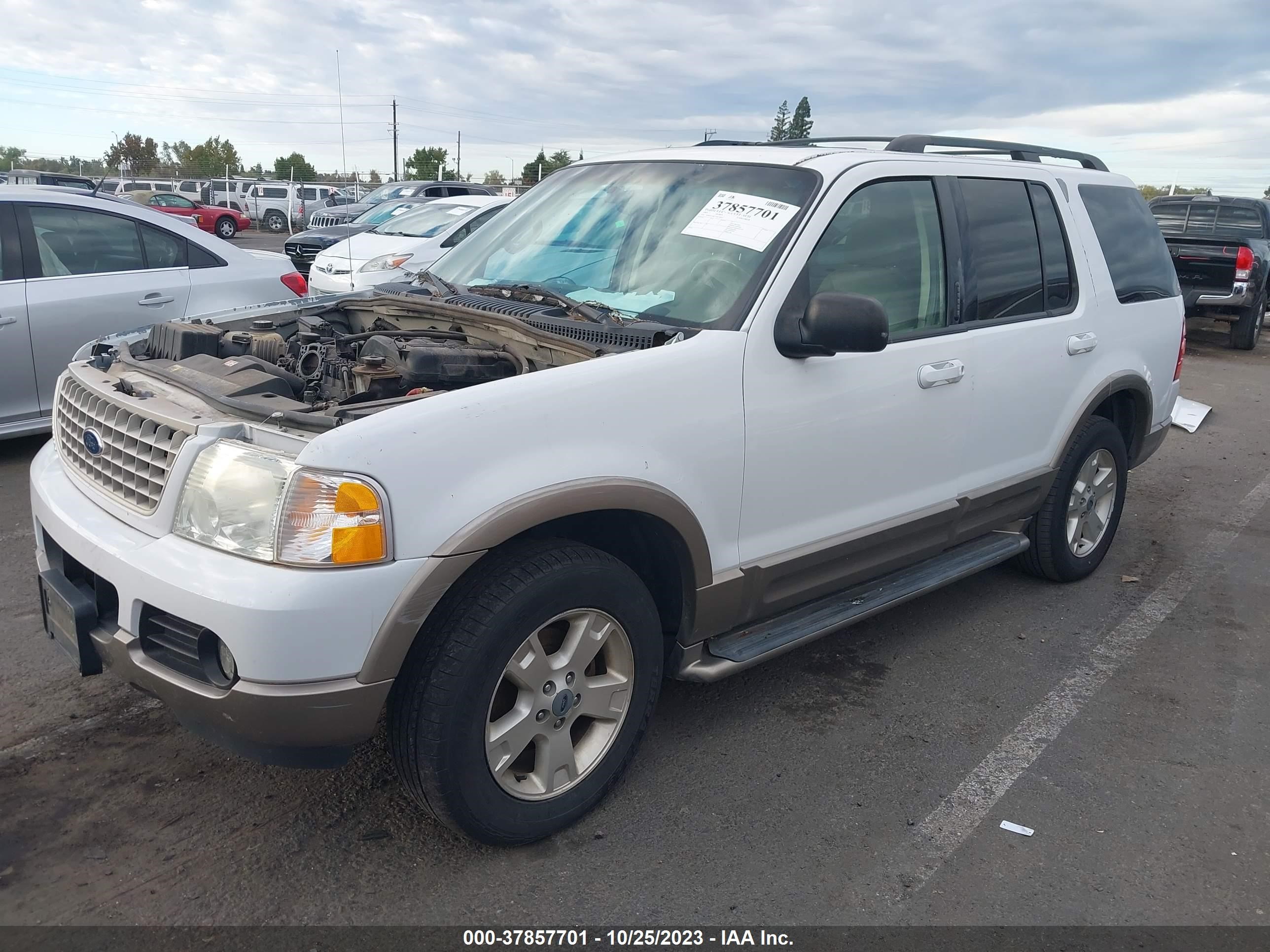 Photo 1 VIN: 1FMDU74K13UC38507 - FORD EXPLORER 