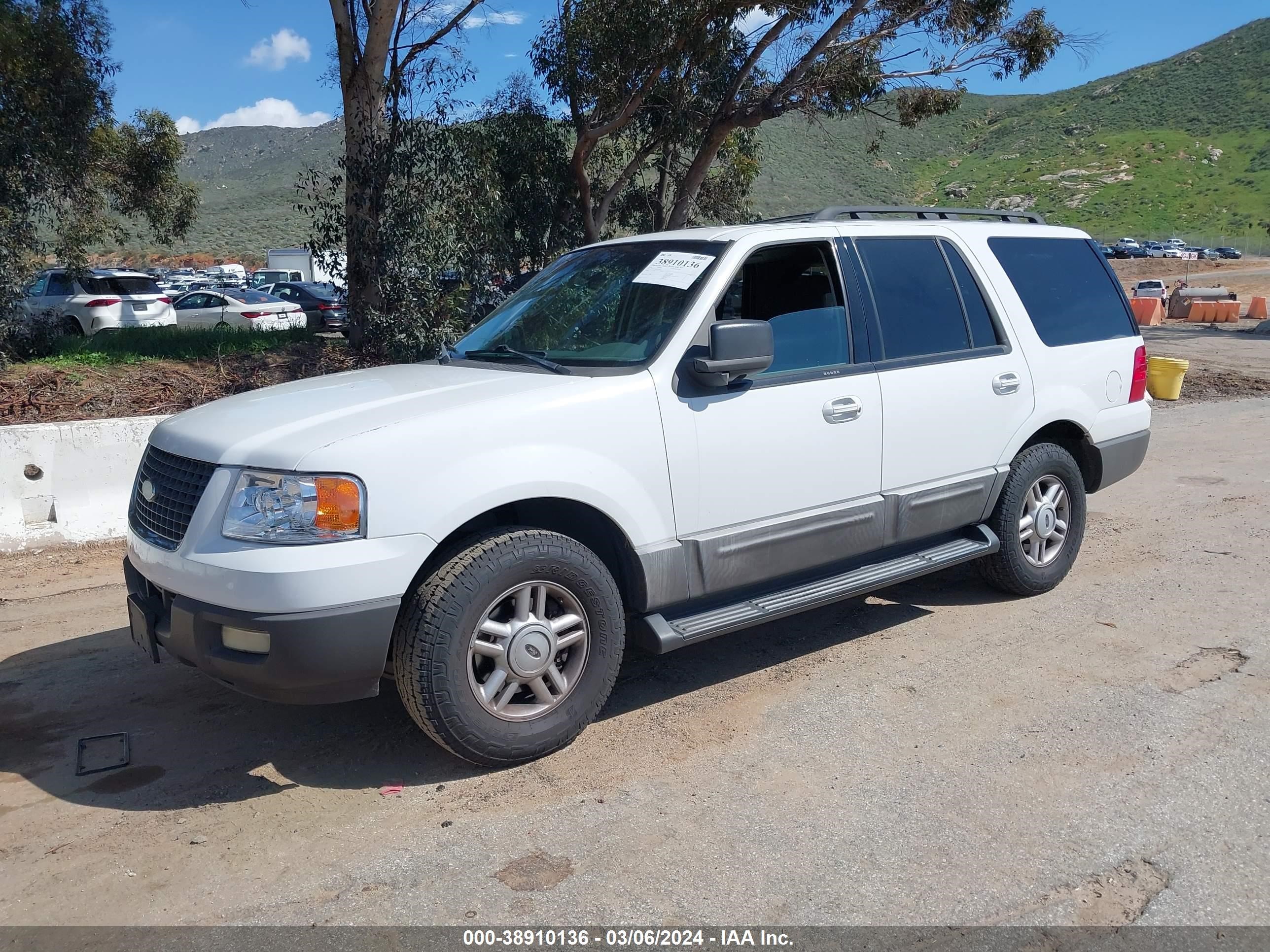 Photo 1 VIN: 1FMPU15566LA09530 - FORD EXPEDITION 