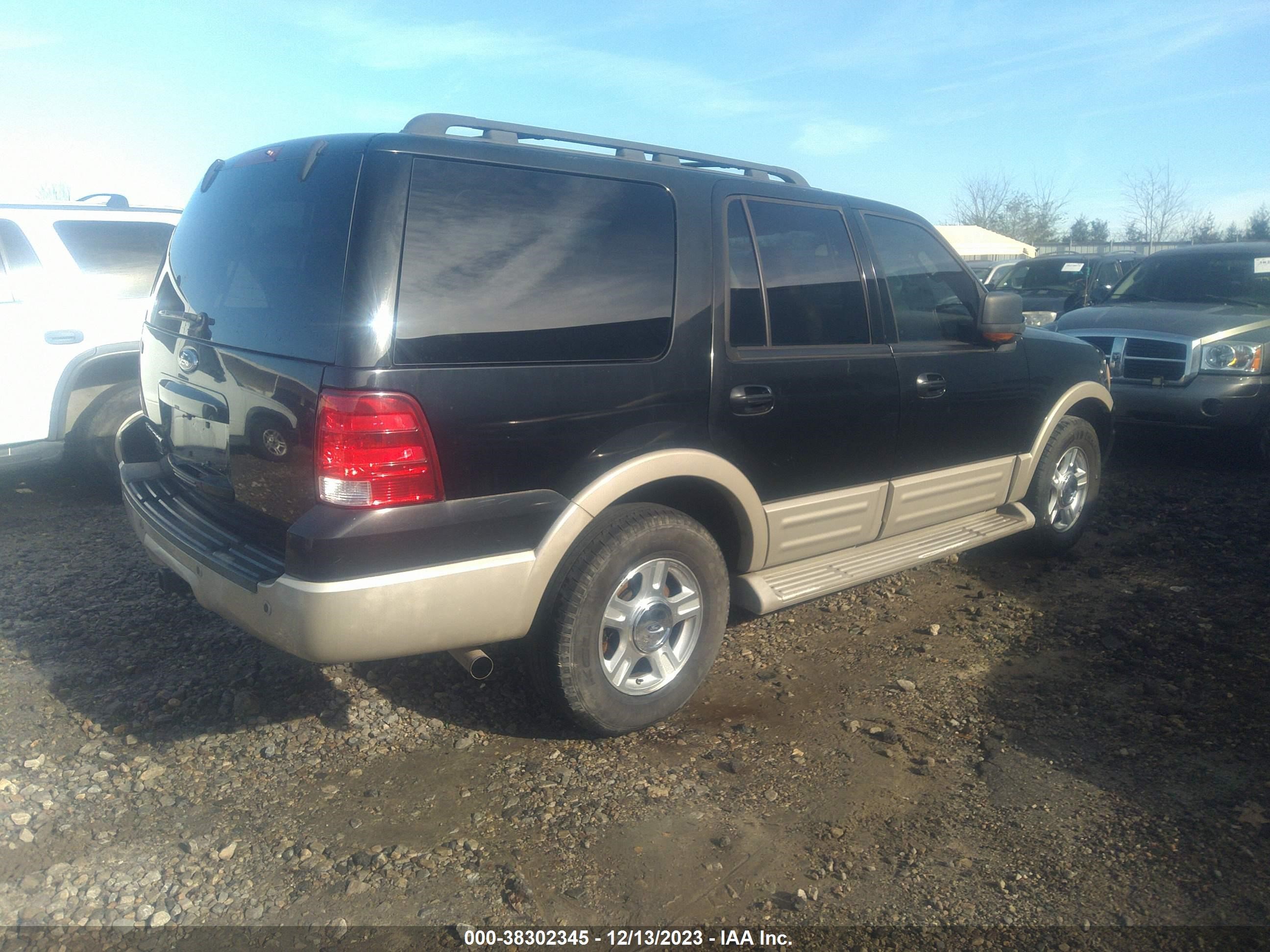 Photo 3 VIN: 1FMPU17516LA29701 - FORD EXPEDITION 