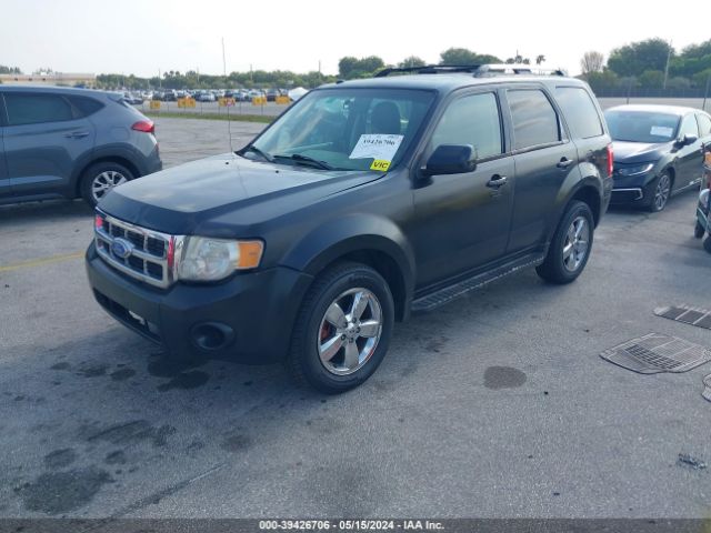 Photo 1 VIN: 1FMTU0E74BKA78629 - FORD ESCAPE 