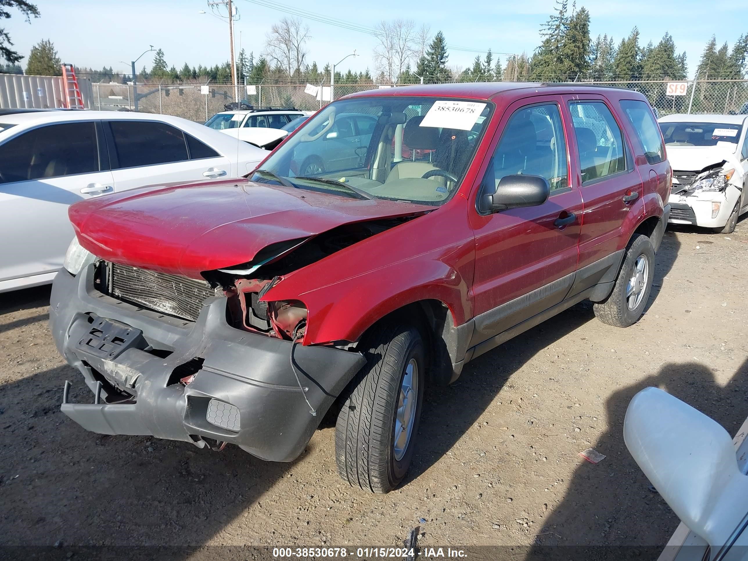 Photo 1 VIN: 1FMYU02BX3KE00125 - FORD ESCAPE 