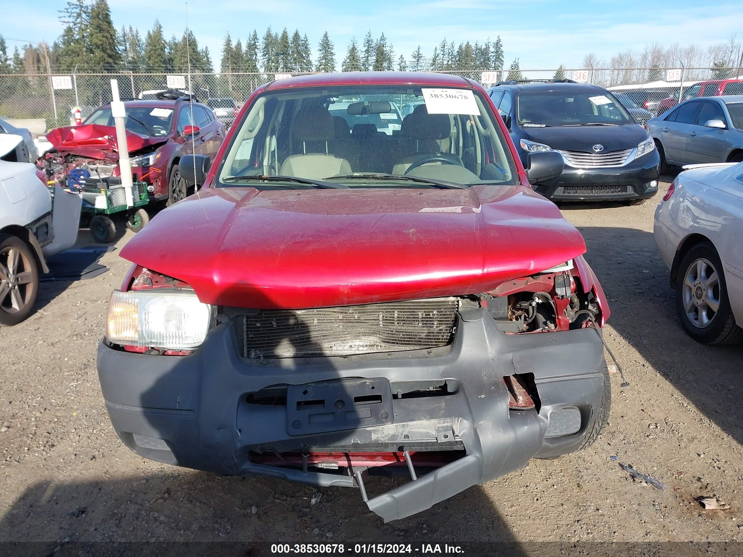 Photo 11 VIN: 1FMYU02BX3KE00125 - FORD ESCAPE 