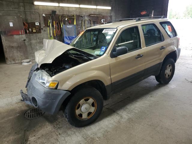 Photo 0 VIN: 1FMYU02Z17KB08687 - FORD ESCAPE XLS 