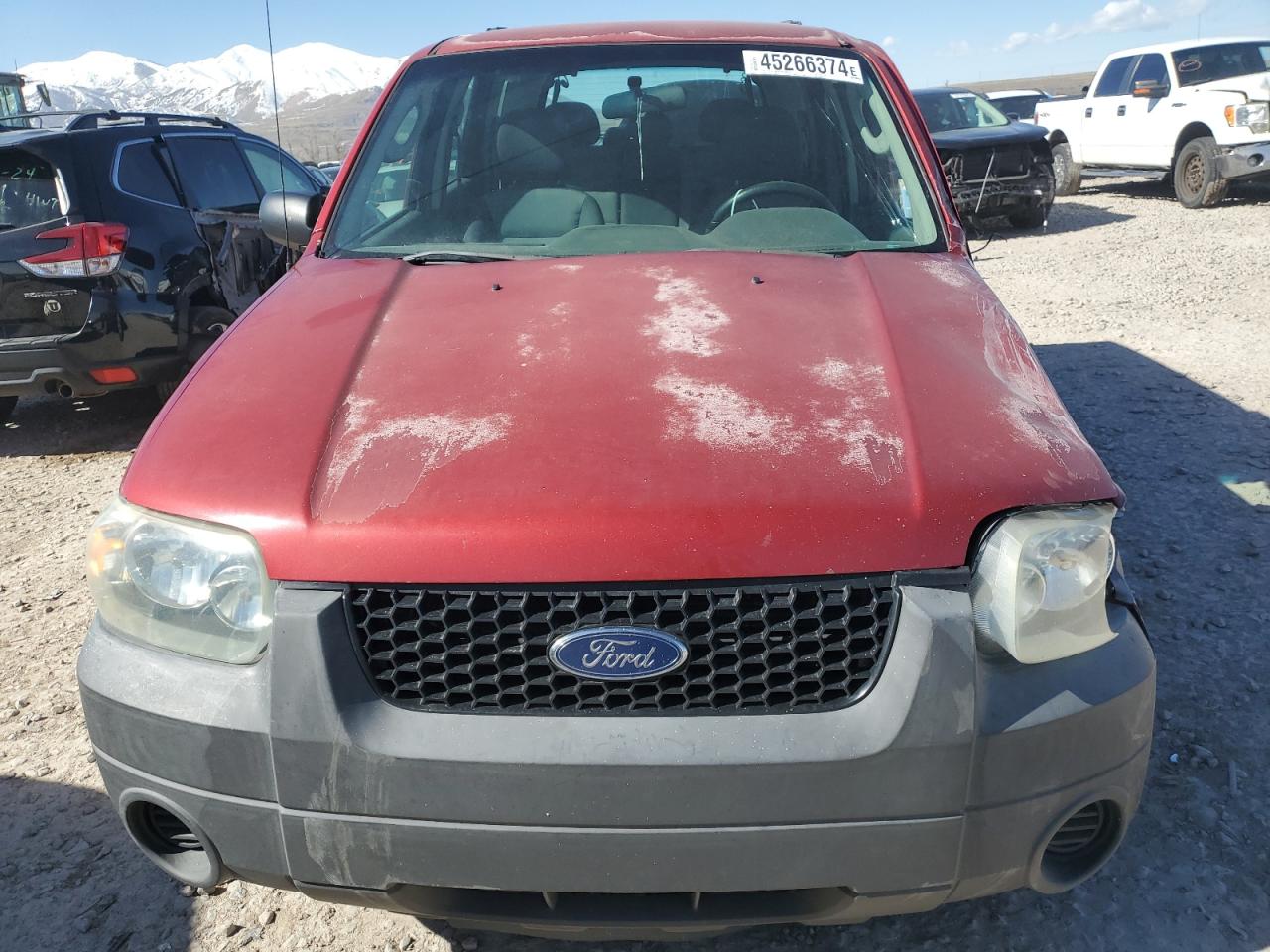 Photo 4 VIN: 1FMYU02Z35KA57626 - FORD ESCAPE 