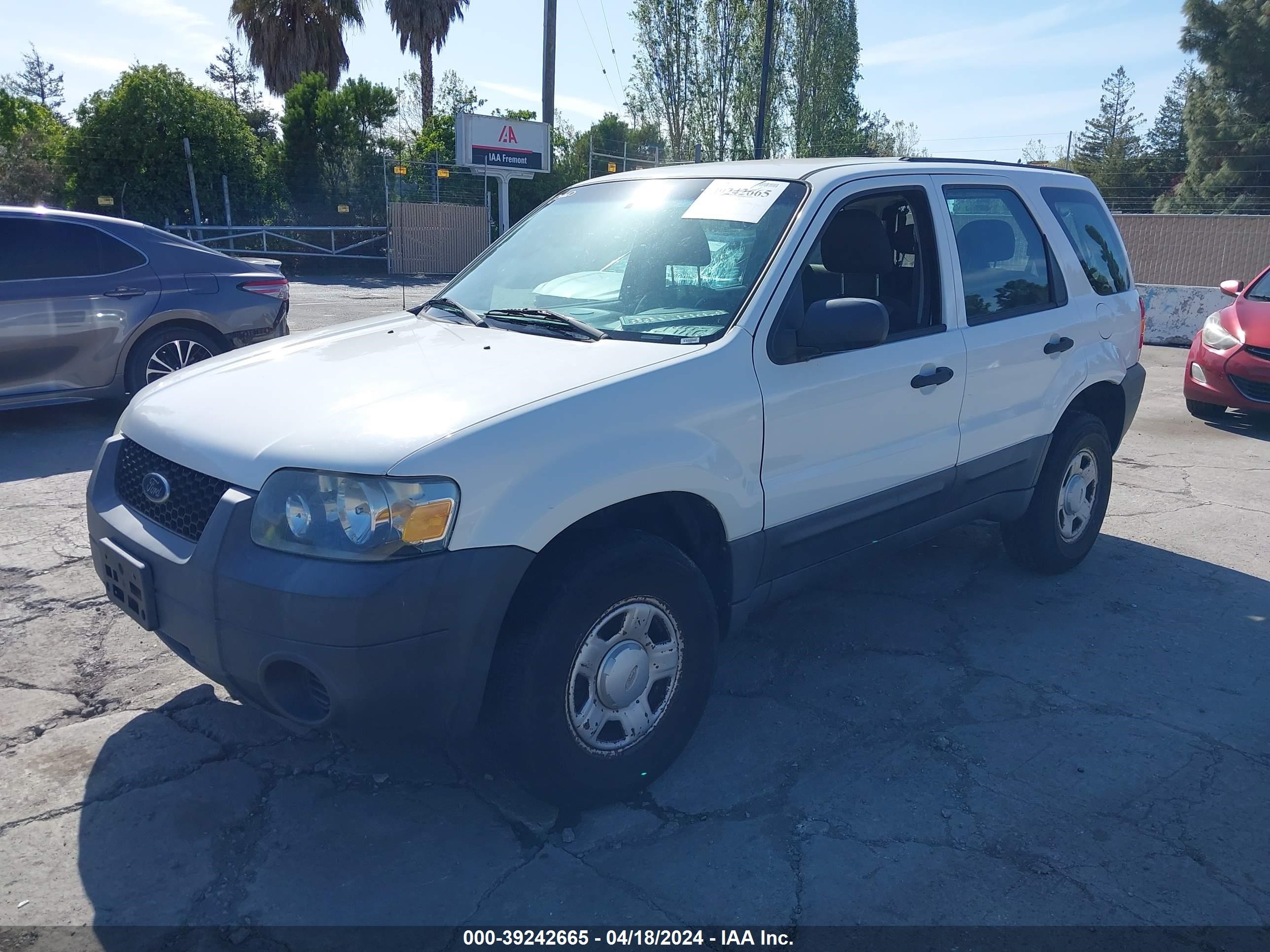 Photo 1 VIN: 1FMYU02Z66KA97684 - FORD ESCAPE 