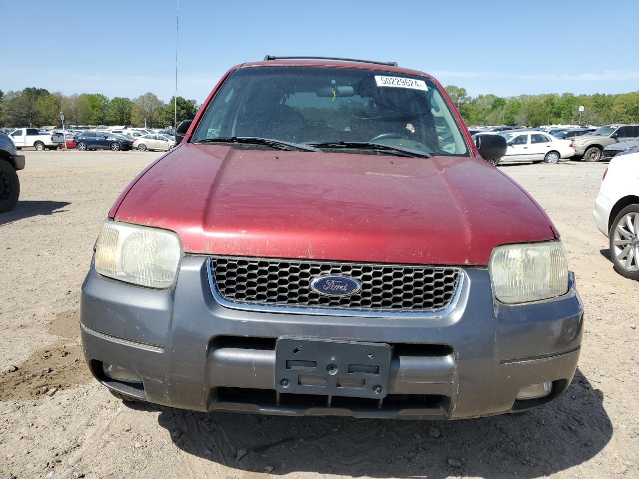 Photo 4 VIN: 1FMYU03104KB09057 - FORD ESCAPE 