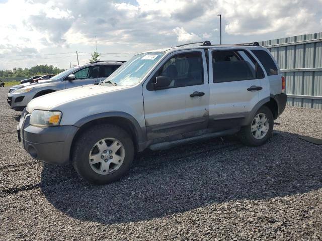 Photo 0 VIN: 1FMYU03106KA36355 - FORD ESCAPE 