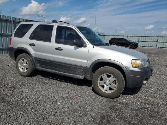 Photo 3 VIN: 1FMYU03106KA36355 - FORD ESCAPE 