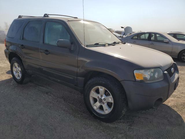 Photo 3 VIN: 1FMYU03106KB58259 - FORD ESCAPE XLT 