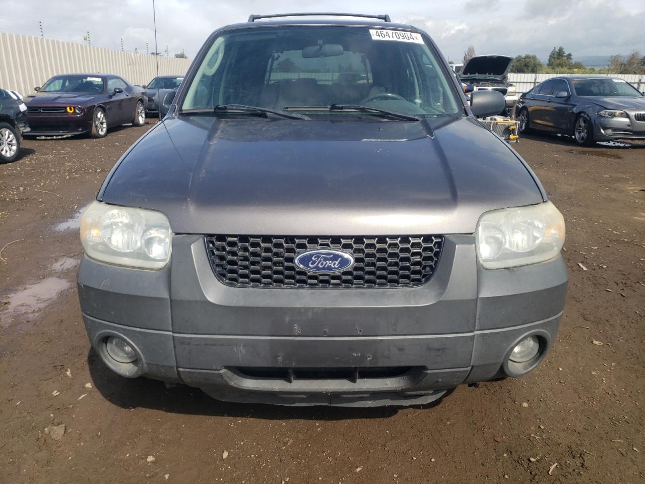 Photo 4 VIN: 1FMYU03115KE24452 - FORD ESCAPE 