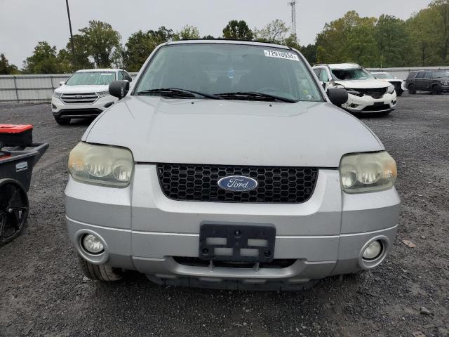 Photo 4 VIN: 1FMYU03117KC03534 - FORD ESCAPE XLT 