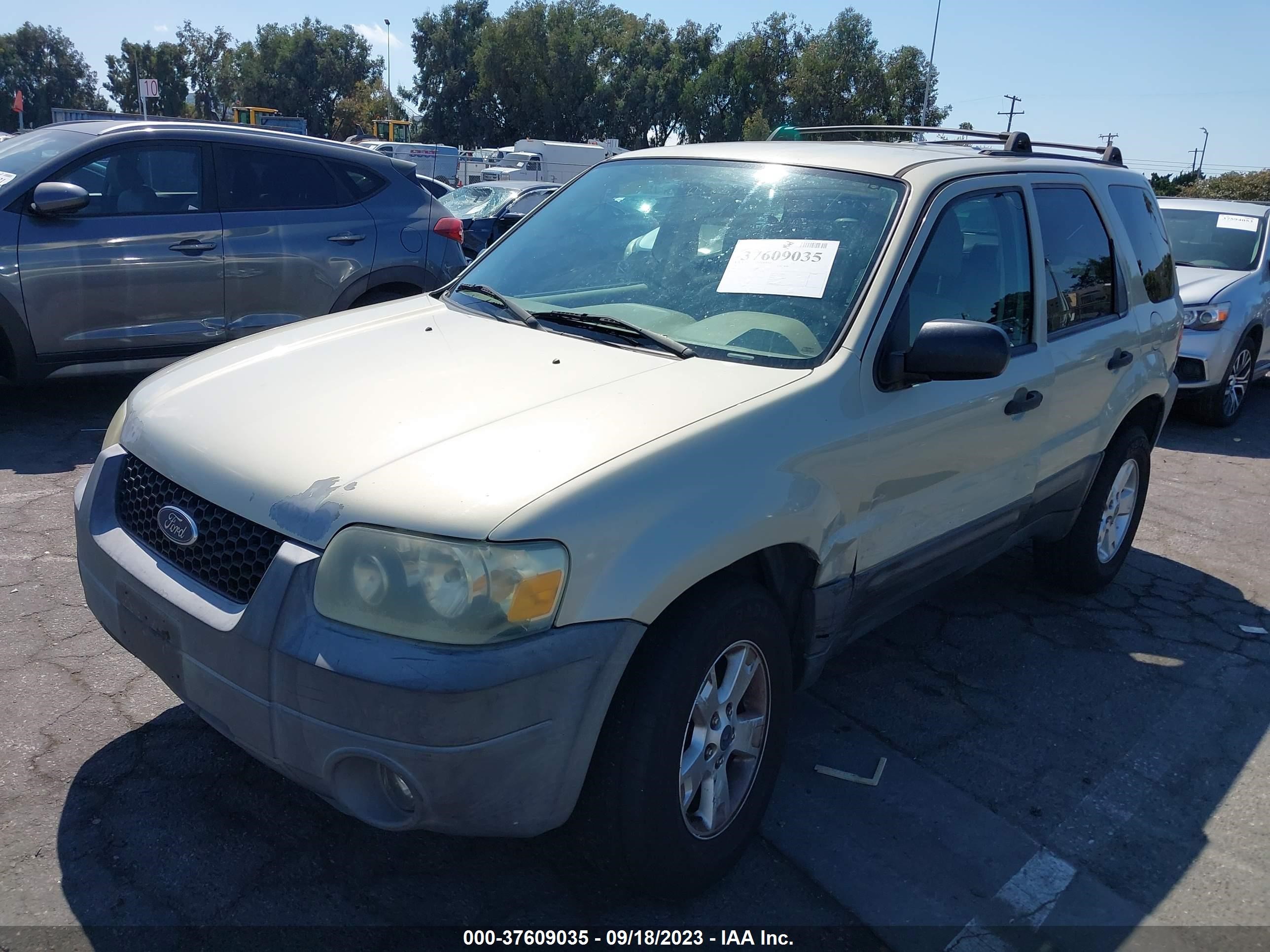 Photo 1 VIN: 1FMYU03125KA85510 - FORD ESCAPE 